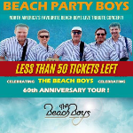 The Beach Party Boys