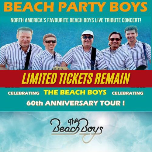 The Beach Party Boys